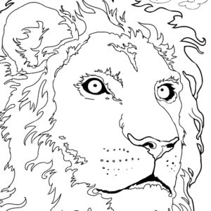 Dave OConnell, Lion, Line art